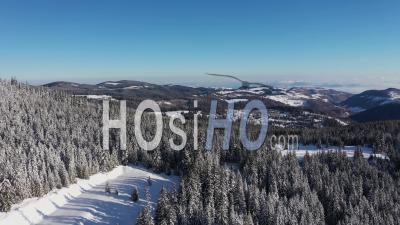 Winter Forest In The Mountains Viewed From Drone
