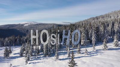 Winter Forest In The Mountains Viewed From Drone - Video Drone Footage