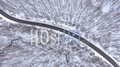 Cars Driving In Winter Forest Viewed From Drone