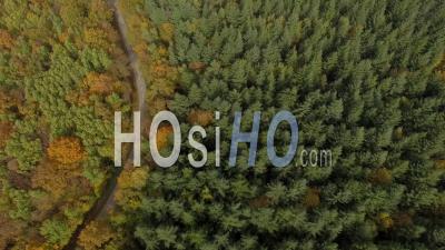 Forest In Autumn In Isere, France – Aerial Video Drone Footage