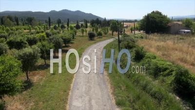 Country Road With Fruit Trees, Pertuis, Vaucluse, South Of France - Video Drone Footage