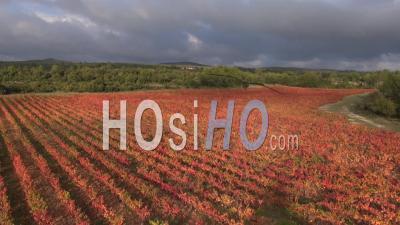 Flying Over Vineyards In Autumn, Ollieres, Var, Provence, France - Video Drone Footage