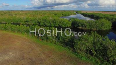 Everglades Florida - Video Drone Footage