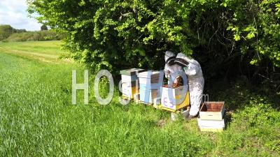 Two Beekeepers Harvesting Honey From Hives, Video Drone Footage