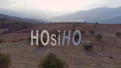 Drone Video Olive Grove Granada Spain - Video Drone Footage