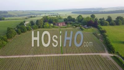 Vue Aérienne De La Campagne Du Hampshire Et Du Vignoble De Hambledon, Au Royaume-Uni - Vidéo Drone