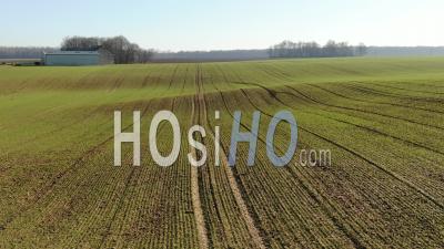 Low Altitude Flight Of Hilly Fields And Green Furrow, Video Drone Footage