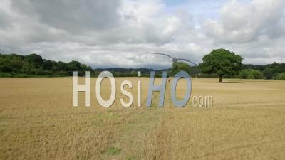 Femme Marchant Dans Farmers Fields Shropshire Royaume-Uni - Vidéo Drone