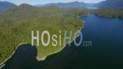 Meares Island Aquaculture Clayoquot Sound Tofino Area West Coast Vancouver Island 
