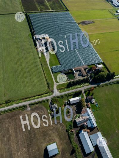 Pitt Meadows Greenhouses - Aerial Photography