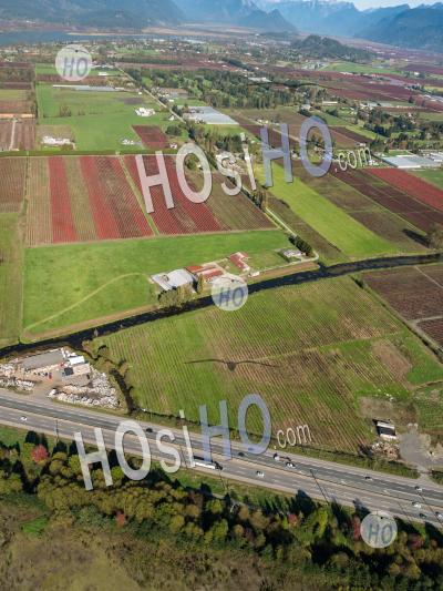 Agriculture Pitt Meadows - Photographie Aérienne