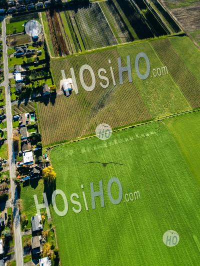 Chilliwack Farm Lands - Aerial Photography