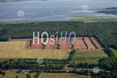 Agriculture Île-Du-Prince-Édouard Canada - Photographie Aérienne