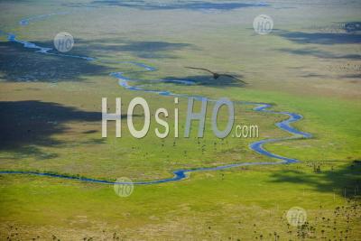 Marécages De L'est Demerara Guyana - Photographie Aérienne