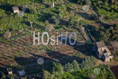 L'agriculture Dans Vergers Porticello Santa Flavia Sicile Italie - Photographie Aérienne