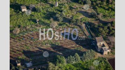 L'agriculture Dans Vergers Porticello Santa Flavia Sicile Italie - Photographie Aérienne