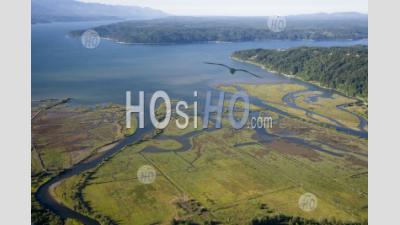 Estuary Washington Usa - Aerial Photography