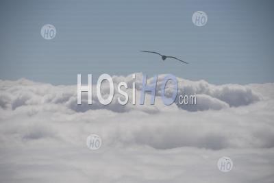 Above The Clouds - Aerial Photography