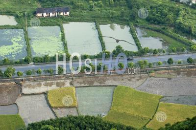 Rural Road Through Rice Paddies Seen From The Top Of Moon Hill, Yangshuo, Guangxi, China. - Aerial Photography