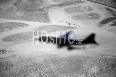 Shadow Of A Flying Airplane Taking Off - Aerial Photography