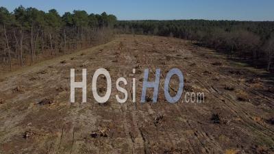 Vue Aérienne De Drone De Déforestation, Destruction De L'environnement - Point De - Vidéo Drone