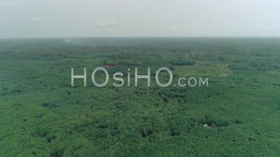 Banco National Park In Abidjan, Video Drone Footage