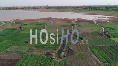 Plantations Near The Ouagadougou Dam, Video Drone Footage