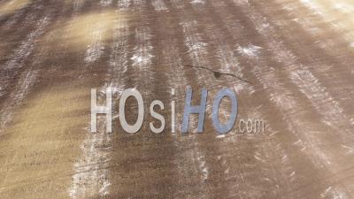 Video Drone Footage Of Agricultural Field With Chemical Fertilizer