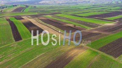 Agricultural Fields Of Crops Plowed And Prepared For Planting - Video Drone Footage