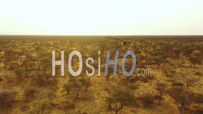 Vue Aérienne D'une Jeep Safari Voyageant Sur Les Plaines D'afrique, Réserve De Chasse D'erindi, Avec Un Guide De La Tribu San, Observant La Faune Sauvage, Namibie - Vidéo Drone