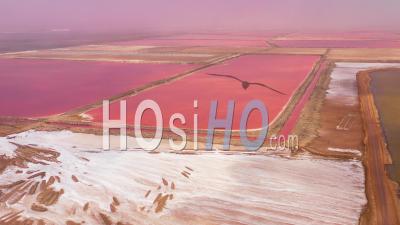 Aerial View Over Bright Red And Pink Salt Pan Farms Near Walvis Bay, Namibia - Video Drone Footage