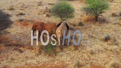 Vue Aérienne Par Drone De Deux Beaux éléphants Africains Dans La Savanne Lors D'un Dans Le Parc Erindi, Namibie
