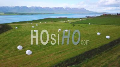 Aerial View Over Large White Bales Of Hay Wrapped In Plastic Cylinders Like Marshmallows In The Fields Of Iceland - Video Drone Footage