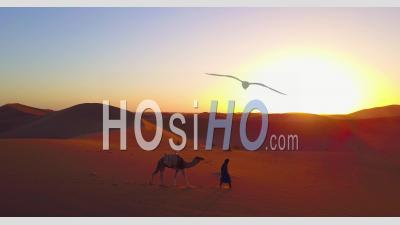 Aerial View Over A Man Leading His Camel Across Desert Sand Dunes At Sunrise In Morocco - Video Drone Footage
