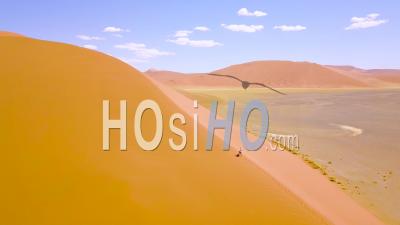Vue Aérienne Sur Un Homme En Randonnée Dans Le Paysage Désertique Accidenté Et Les Dunes De Sable Près De Dune 45 En Namibie, Afrique - Vidéo Drone