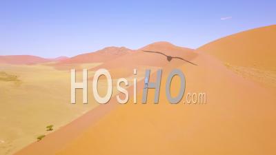 Vue Aérienne Sur Un Homme En Randonnée Dans Le Paysage Désertique Accidenté Et Les Dunes De Sable Près De Dune 45 En Namibie, Afrique - Vidéo Drone