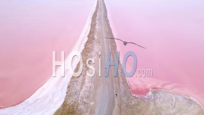 Aerial View Over A Woman Jogging Or Running On A Colorful Pink Salt Flat Region In Namibia, Africa - Video Drone Footage