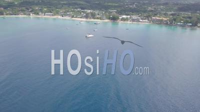 Aerial View From Ocean To Reveal The Caribbean Island Of Barbados - Video Drone Footage