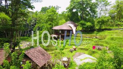 Vue Aérienne D'une Maison Architecturale Arrondie Fantastique Dans La Jungle De Bali, Indonésie -Vidéo Drone