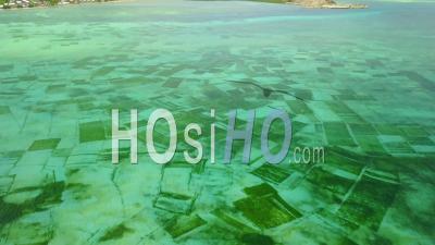 Vue Aérienne De La Ferme D'algues Aquacole Sous-Marine Près De Nusa Dua Sur L'île De Bali, Indonésie -Vidéo Drone