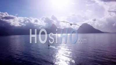 Vue Aérienne D'un Voilier Naviguant Sur La Mer Des Caraïbes Près De L'île De Sainte-Lucie -Vidéo Drone