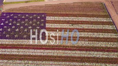 Aerial View Over A Giant American Flag Made Of Flowers - Video Drone Footage