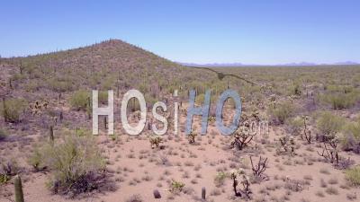 Aerial View Over Desert Cactus In Saguaro National Park Near Tucson, Arizona - Video Drone Footage