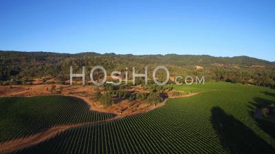 Vue Aérienne Sur Les Rangées De Vignes Dans Le Comté De Sonoma En Californie Du Nord - Vidéo Drone