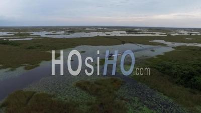 Vue Aérienne Sur Un Hydroglisseur Voyageant à Travers Les Everglades En Floride - Vidéo Drone