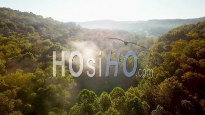 Early Morning Aerial View Of Fog In Appalachia West Virginia - Video Drone Footage