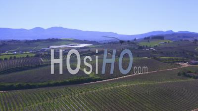 Vignobles De La Vallée D'elgin, Grabouw, Afrique Du Sud - Vidéo Drone
