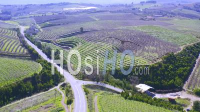 Vignobles De La Vallée D'elgin, Grabouw, Afrique Du Sud - Vidéo Drone