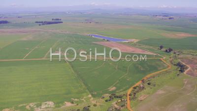 Terre Cultivée, Le Cap, Durbanville, Afrique Du Sud - Vidéo Drone