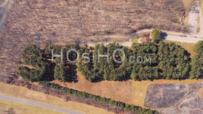 Aerial View Over A Large Forest Of Trees With The Word Studebaker Written From The Sky, An Early Aerial Automobile Advertisement Near New Carlisle, Indiana - Video Drone Footage